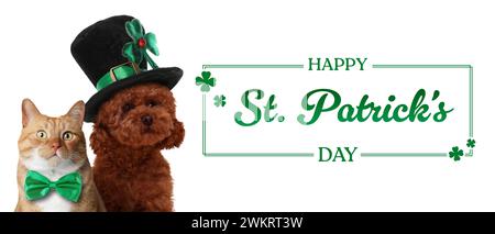 Felice St. Il biglietto giornaliero di Patrick. Simpatico cane con cappello in leprechaun e gatto con papillon verde su sfondo bianco. Design banner Foto Stock
