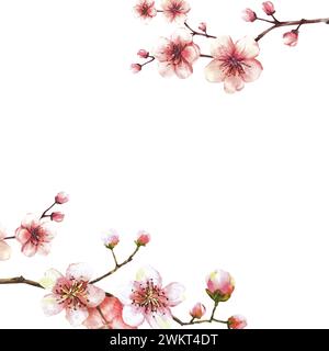 Un ramo in fiore dal modello dell'albero a molla. Fiori e gemme di Sakura, ciliegio, mela o albicocche fioriscono clipart acquerello primaverile per l'etichetta della carta Foto Stock