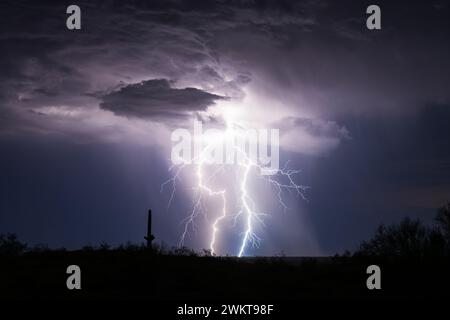 Tempesta monsonica fulmini nel deserto dell'Arizona Foto Stock