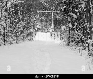 Una pista per biciclette da una sola mtn taglia la neve fresca e caduta attraverso un ponte nella Bald Mountain State Recreation area, Orion Township, Michigan Foto Stock