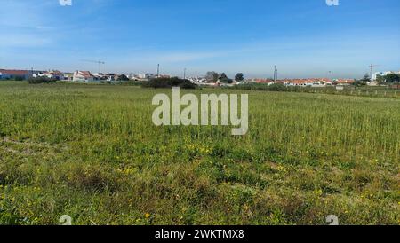 Un vasto campo con alberi e edifici lontani sullo sfondo Foto Stock