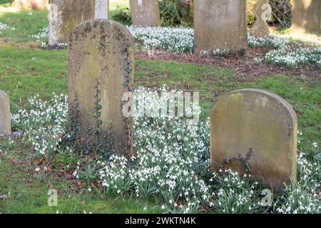 Gocce di neve in un cimitero Foto Stock