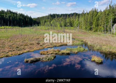 Moro a Schweden, Mittelschweden, Värmland, bei Årjäng, Moorfläche mit Bach Foto Stock