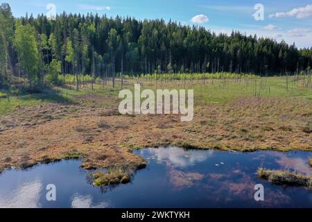 Moro a Schweden, Mittelschweden, Värmland, bei Årjäng, Moorfläche mit Bach Foto Stock
