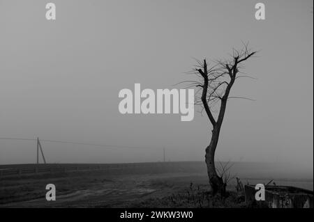 immagine in bianco e nero dominata dalla nebbia Foto Stock