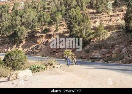 Negli altopiani dell'Abissinia, villaggio nei Monti Semien, Street Scene, Etiopia Foto Stock