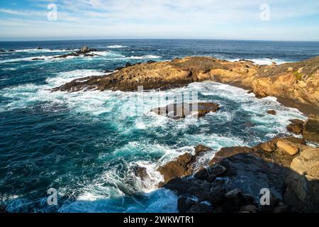 Sea Lion Rock presso la riserva naturale statale di Point Lobos Foto Stock