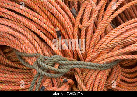 La pesca di corda, porto di Newport, Newport, Oregon Foto Stock