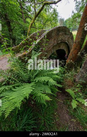 Ponte medievale a cavallo di cavallo di cavallo di cavallo, che si ritiene risalga al XV secolo, sulla strada da Ilkley a Ripon, vicino a Thornthwaite, North Yorkshire, Inghilterra, Regno Unito Foto Stock