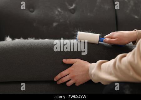 Spargimento di animali domestici. Uomo con rullo di lanugine che rimuove i capelli di cane dal divano, primo piano Foto Stock