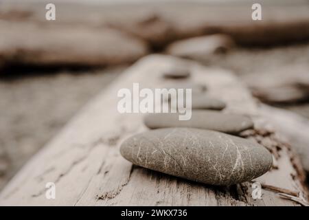 Bordo di pietra liscia con venature bianche in primo piano su Driftwood Foto Stock