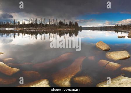 Vista sull'Harz Oderteich in inverno, diga, formato paesaggio, luce serale, fotografia di paesaggi, fotografia naturalistica, lago, rocce, Braunlage, Harz, Foto Stock