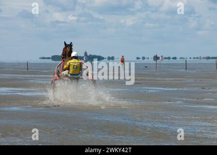 Eccezionale corsa di cavalli in pianura fangosa a Duhnen, in Germania, sulla costa del Mare del Nord Foto Stock