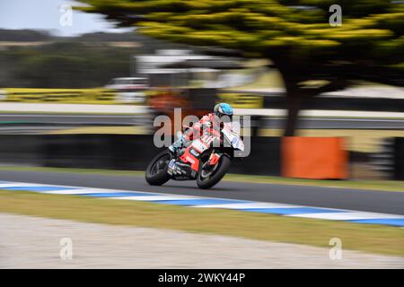 MELBOURNE, AUSTRALIA. 23 febbraio 2024. Adrian Huertas (99) spagnolo in sella alla Ducati Panigale V2 per Aruba.IT Racing - Ducati alla prova di apertura del Campionato Mondiale Supersport 2024 a Phillip Island. Accreditare Karl Phillipson/Alamy Live News Foto Stock