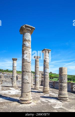 Questa foto cattura gli impressionanti resti della basilica romana situata nell'antica città di Baelo Claudia. Diverse colonne in pietra ben conservate Foto Stock