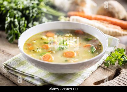 Zuppa di verdure primaverili con verdure a radice tritate e grattugiate, condite con lievito. Cibo vegetariano sano e vegetale. Foto Stock