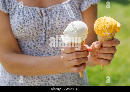Le mani delle donne tengono un gelato rinfrescante in coni di waffle con un pizzico di saporito sapore di limone Foto Stock