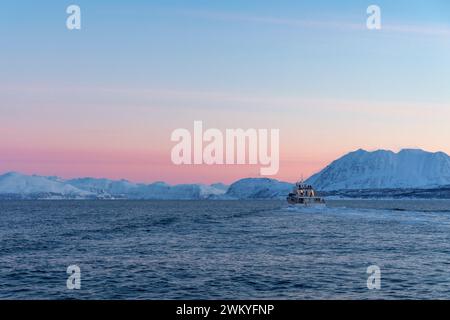 Europa, Norvegia, Tromso, Troms County, Pleasure Boat per l'avvistamento di balene passando per il paesaggio costiero vicino alla penisola di Lyngen in inverno Foto Stock