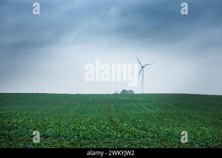Turbine eoliche su una fattoria, Forlev, regione Midtjylland, penisola dello Jutland, Danimarca Foto Stock