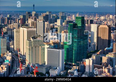 Grattacielo, Torre del Giardino Izumi, Vista della Citta' di Tokyo, Tokyo, Giappone Foto Stock