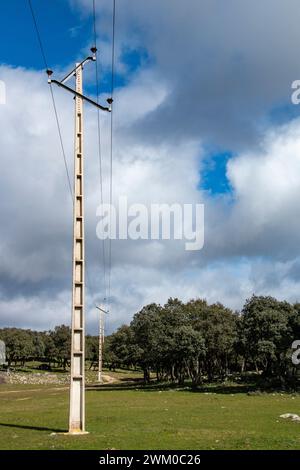 Traduzione: Pericolo di morte ad alta tensione. Cartello segnaletico "pericolo di morte per alta tensione" su cemento elettricamente conduttivo o torri metalliche Foto Stock