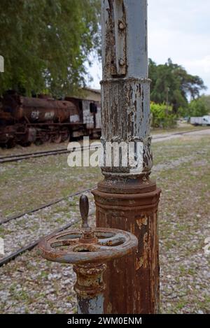 Gru acquatica ruvida e locos a vapore abbandonati nel cantiere dismesso della stazione di Myloi, Peloponneso, Grecia. Maggio 2023 Foto Stock