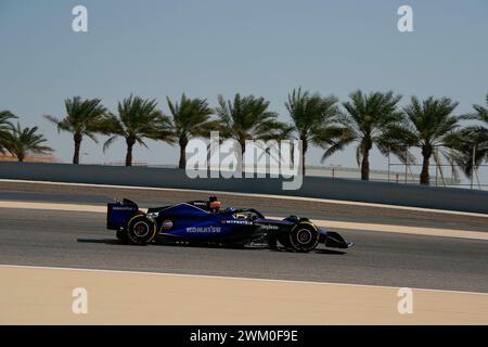 Sakhir, Bahrein. 23 febbraio 2024. 23 febbraio 2024, Bahrain International Circuit, Sakhir, test drive di Formula 1 in Bahrain 2023, nella foto Alexander Albon (GBR), Williams Racing Credit: dpa/Alamy Live News Foto Stock