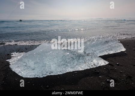 Pezzi di iceberg provenienti da un ghiacciaio che si distacca nell'oceano su una favolosa spiaggia di sabbia nera in Islanda. Viaggio, esperienza unica e concetto della stagione invernale. Foto Stock