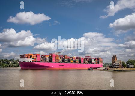 Germania, Amburgo, nave portacontainer rosa che passa per la stazione pilota di Seemannshoft Foto Stock