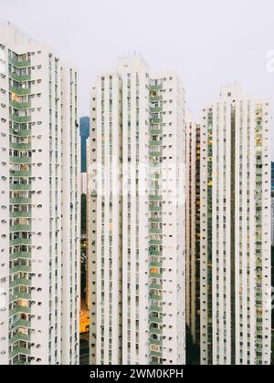 Edifici con finestre verdi nella città di Hong Kong Foto Stock