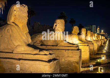 Sfinge avenue illuminata di notte a Luxor, Egitto Foto Stock