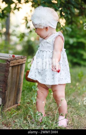 Tra i ciliegi, una bambina sperimenta le gioie dell'estate, le sue risate riempiono l'aria mentre si diverte nell'esperienza sensoriale di pickin Foto Stock