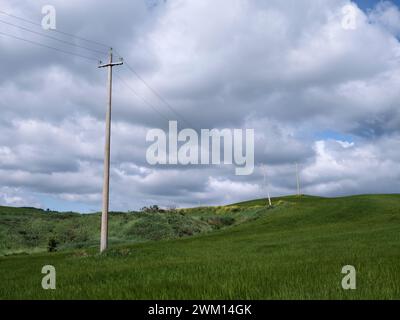 line of utility poles crossing the lush green, hilly landscape in spring, Tuscany, Italy Foto Stock