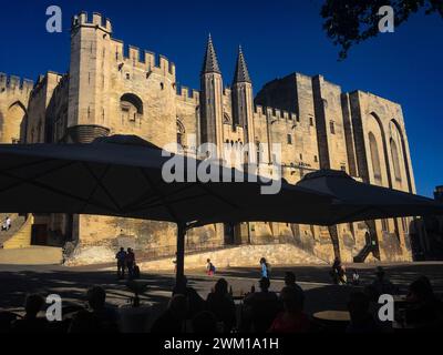 4065955 Palazzo Papale (Palais des Papes) ad Avignone, Francia; (add.info.: Palazzo Papale (Palais des Papes) ad Avignone, Francia / il Palazzo dei Papi ad Avignone (Palais des Papes), Francia - © Marcello Mencarini); © Marcello Mencarini. Tutti i diritti riservati 2024. Foto Stock