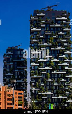 4068163 Milano, quartiere porta nuova. Le due torri del progetto Bosco verticale (Foresta verticale) progettate dallo Studio Boeri nel quartiere porta nuova; (add.info.: Milano, quartiere porta nuova. Le due torri del progetto Bosco verticale (Foresta verticale) progettate dallo Studio Boeri nel quartiere porta nuova di Milano, zona porta nuova. Le due torri del Bosco verticale progettato dallo Studio Boeri in zona porta nuova); © Marcello Mencarini. Tutti i diritti riservati 2024. Foto Stock