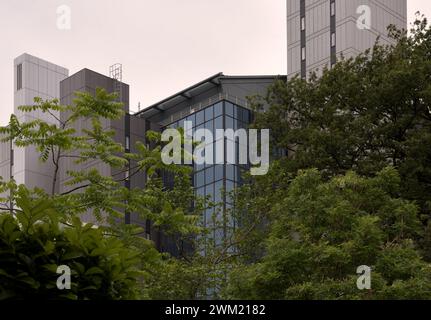 Dettagli architettonici delle finestre degli edifici e della biblioteca dell'Università di Glasgow in Scozia Foto Stock