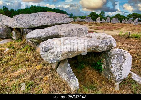 Megalitic alignments of standing stones of Kermario and Menec, Carnac, Morbihan, Brittany,  Bretagne, France Stock Photo