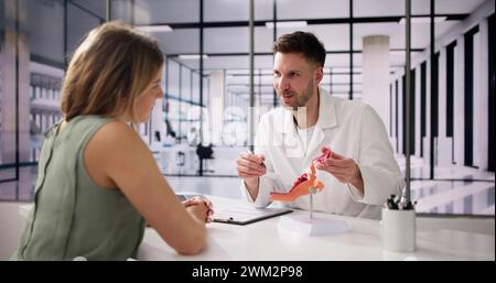 Utero Anatomia riproduttiva femminile. Ginecologia uterina sana Foto Stock