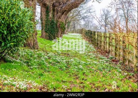 Una vista lungo il confine del campo di nevicate nel villaggio di Lamport, Northamptonshire, Regno Unito, in una giornata invernale Foto Stock