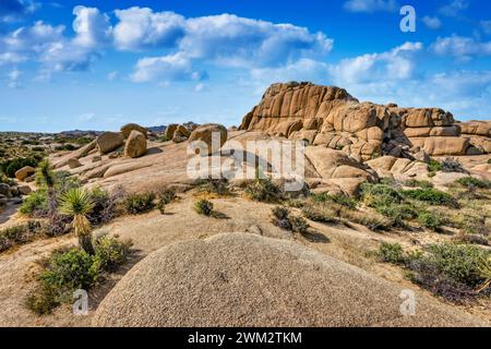 Jumbo Rocks nel Joshua Tree National Park, California Foto Stock