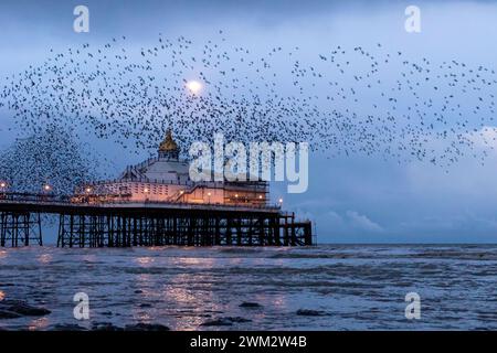 Eastbourne, Regno Unito. 23 febbraio 2024 la luna piena di Tonights o la luna di neve sorge dietro l'Eastbourne Pier come un'murazione di Starling copre il cielo. Eastbourne, East Sussex, Regno Unito. Crediti: Ed Brown/Alamy Live News Foto Stock