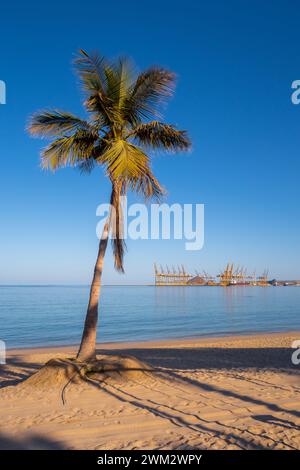 Palma da cocco singola su una spiaggia sabbiosa a Fujairah, Emirati Arabi Uniti, con gru gialle del Porto di Fujairah e vista idilliaca del mare sullo sfondo Foto Stock