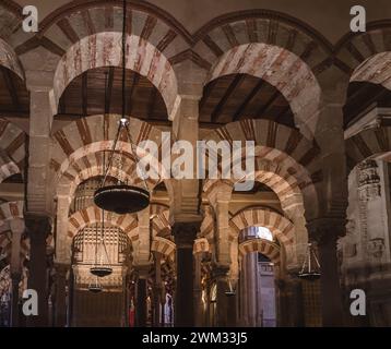 Archi all'interno della sala di preghiera della Mezquita (Moschea), Cordova, Andalusia, Spagna al mattino senza gente Foto Stock
