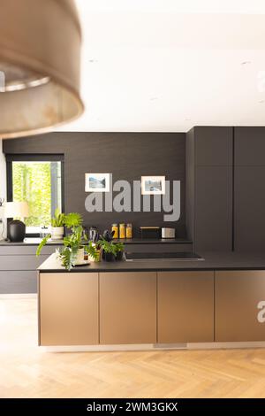 Una cucina dal design moderno presenta eleganti mobili e una disposizione pulita Foto Stock