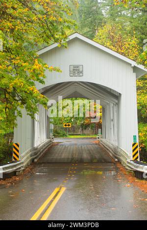 Breve ponte coperto, oltre il fiume e attraverso i boschi Scenic Byway, Linn County, Oregon Foto Stock
