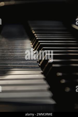 Vista laterale dei tasti piano con profondità di campo ridotta. Sfondo classico per pianoforte a coda, spazio per testo, messa a fuoco selettiva. Foto Stock