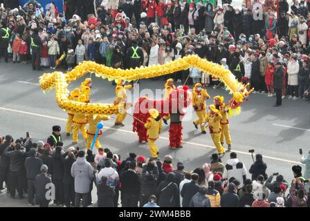 KORLA, CINA - 24 FEBBRAIO 2024 - gli artisti popolari eseguono una danza del drago a Korla, regione autonoma dello Xinjiang Uygur, nella Cina nord-occidentale, 24 febbraio 2024. Foto Stock