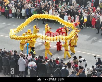 KORLA, CINA - 24 FEBBRAIO 2024 - gli artisti popolari eseguono una danza del drago a Korla, regione autonoma dello Xinjiang Uygur, nella Cina nord-occidentale, 24 febbraio 2024. Foto Stock