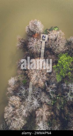Vista aerea di un sentiero in una foresta, vicino a uno stagno nell'East End Park a Kingwood, Texas Foto Stock
