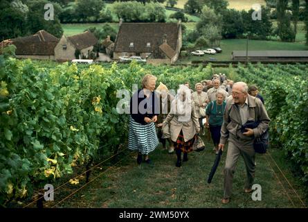 Vino inglese, vigneti nel Somerset. La signora Susan ( sue) Gillespie organizza una festa in pullman di turisti intorno al vigneto di North Wootton. Durante il tour stagionale, i gruppi di pullman hanno fornito entrate aggiuntive, dalle vendite di vino dopo il tour. 1989. UK 1980S HOMER SYKES Foto Stock